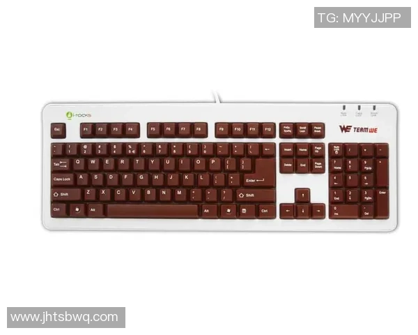 深入解析WE战队盯防体系的战术运用与实战效果